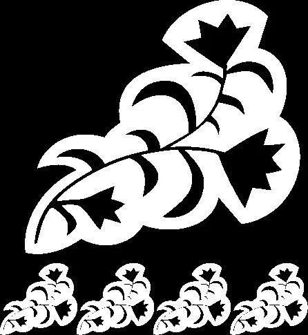 گندم و ستارگان