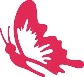 نوار پروانه انتزاعی
