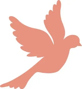 عکس پرنده پروازی