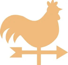 پرندگان طوفان نشان دهنده