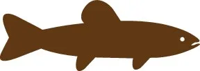 طرح وکتور ۱۳۶۰۵