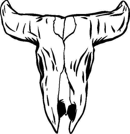 نمودار جمجمه گاو