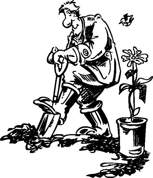 کاشت گل در ظرفی