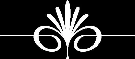 طرح وکتور ۱۵۵۲۸