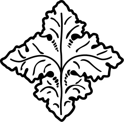 طرح وکتور ۱۶۰۷۷
