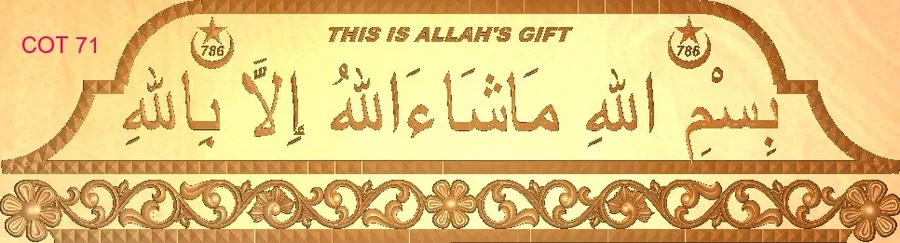 مدل سه‌بعدی / برجسته ۲۷۸۴