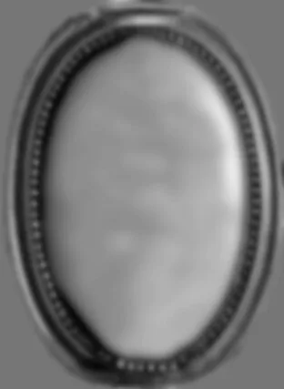 طراحی مرز با طرح گل