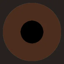 دایره دو مرکزی