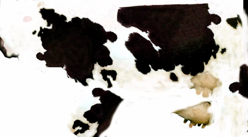 نمایشگر شیر