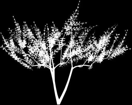 مدل سه‌بعدی / برجسته ۲۸۰۳