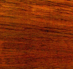 نمای نزدیک پوسته چوب