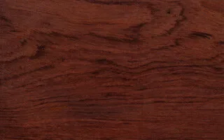 نمای نزدیک پوسته چوب