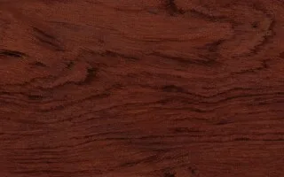 نمای نزدیک پوسته چوب