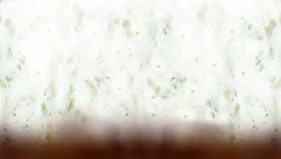 طراحی نمایشگر سبز و سفید