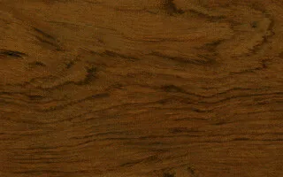 نمای نزدیک پوسته چوب