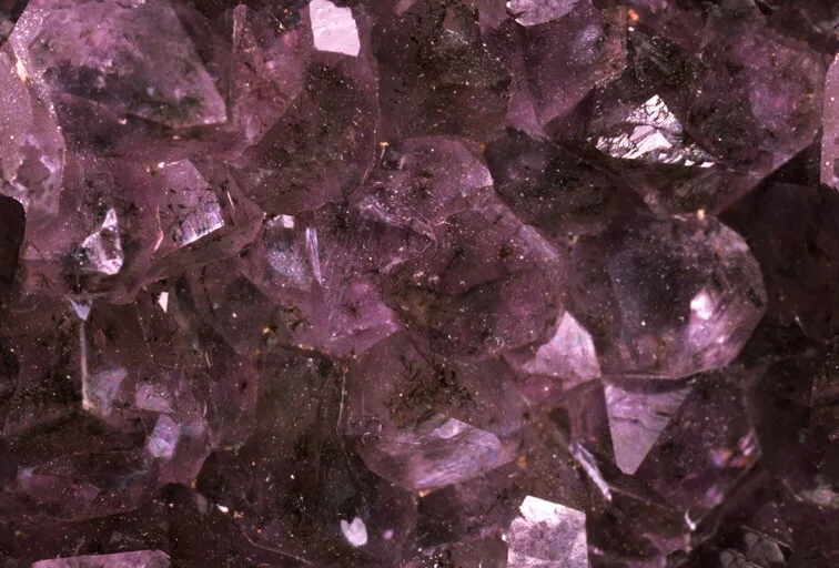 گوهر آمیست