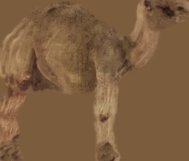 مدل سه‌بعدی / برجسته ۴۱۵۸