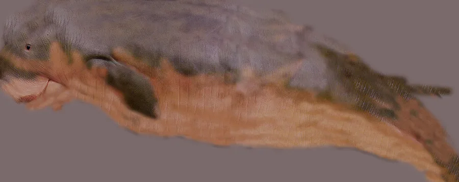 مدل سه‌بعدی / برجسته ۴۱۸۰