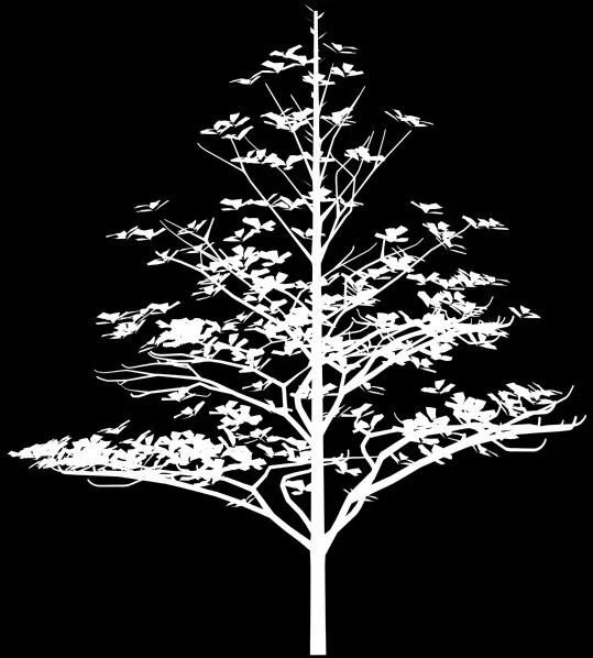 مدل سه‌بعدی / برجسته ۴۲۰۲