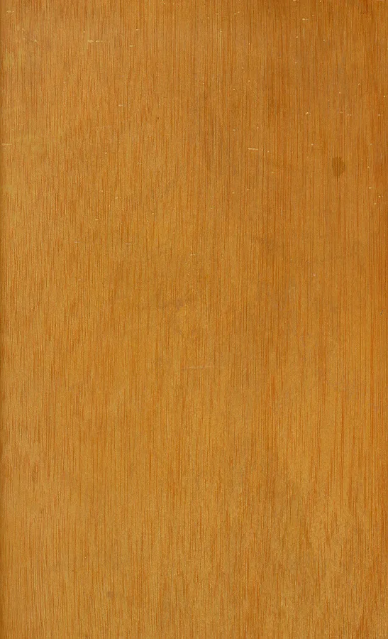مدل سه‌بعدی / برجسته ۴۳۱۳