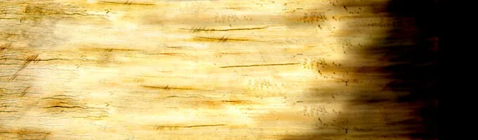 مدل سه‌بعدی / برجسته ۴۳۶۵