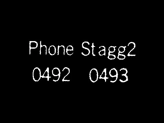 مدل تلفن استگ 204920493