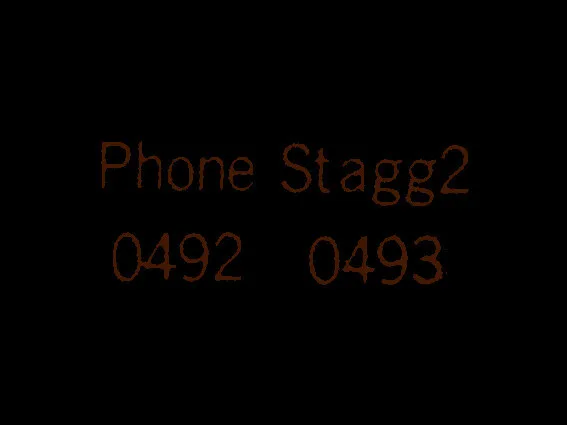 مدل تلفن استگ 204920493