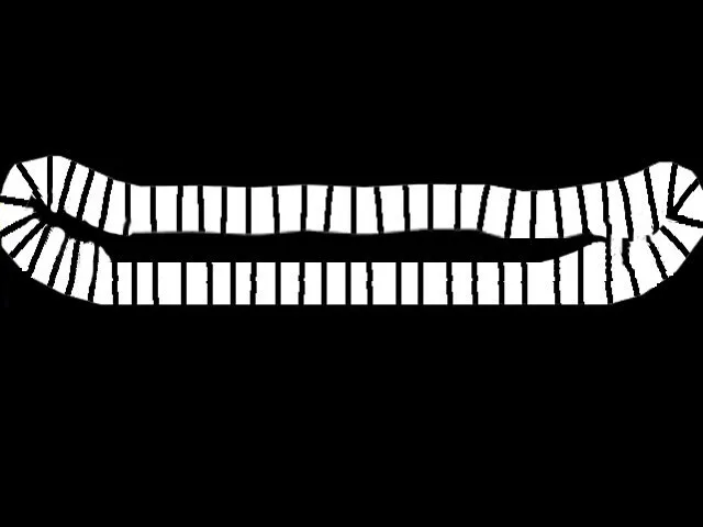 نماد رئیس جمعیت
