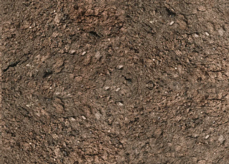 نمای نزدیک خاک