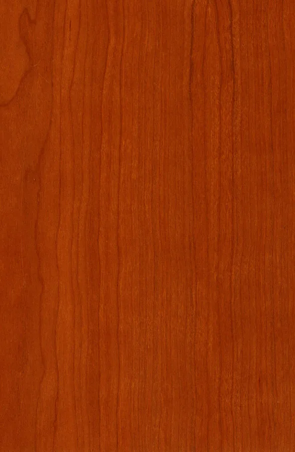 نمای نزدیک پوسته چوب