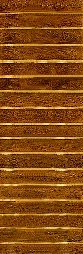مربع‌های طلایی عمودی
