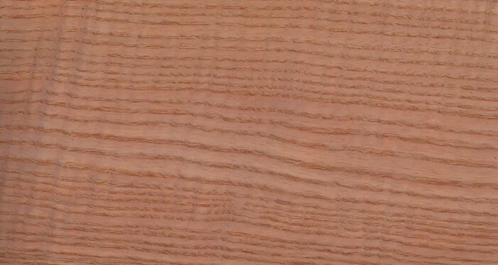 نمای نزدیک پوسته چوب