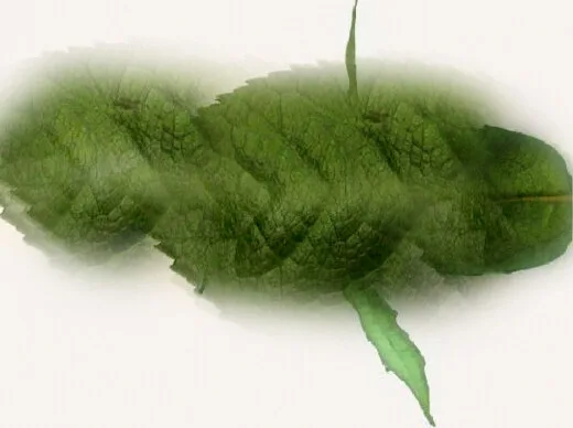 نمودار برگ سبز
