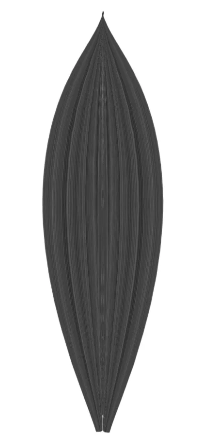 نمودار برگی انتزاعی
