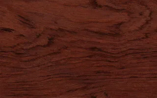 نمای نزدیک پوسته چوب