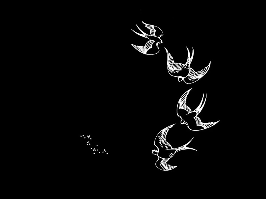 سه پرنده پروازی، مجموعه‌ای هماهنگ