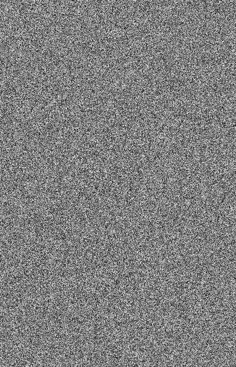 برداری شده نمایش