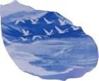 پرندگان و موج‌ها
