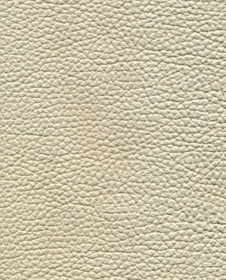 سطح چرم غیرمعمول