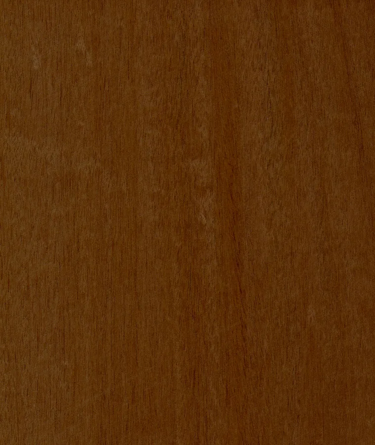 نمای نزدیک پوسته چوب