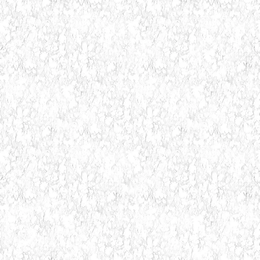 نقاشی سفید با نقوش طبیعی
