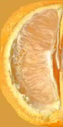 برگشت نارنجی نزدیک