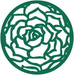 اسکرین و پارتیشن ۲۹۵