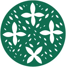 اسکرین و پارتیشن ۲۹۸