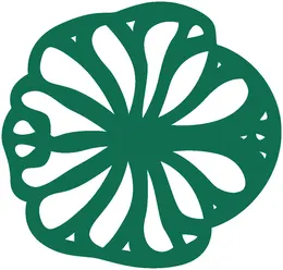 اسکرین و پارتیشن ۳۵۸