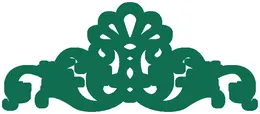 اسکرین و پارتیشن ۲۳۸