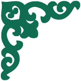 اسکرین و پارتیشن ۲۵۹