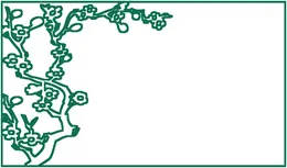 اسکرین و پارتیشن ۲۶۷