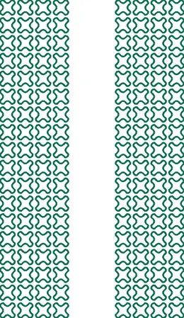 طرح وکتور پرجزئیات ۰۰۲